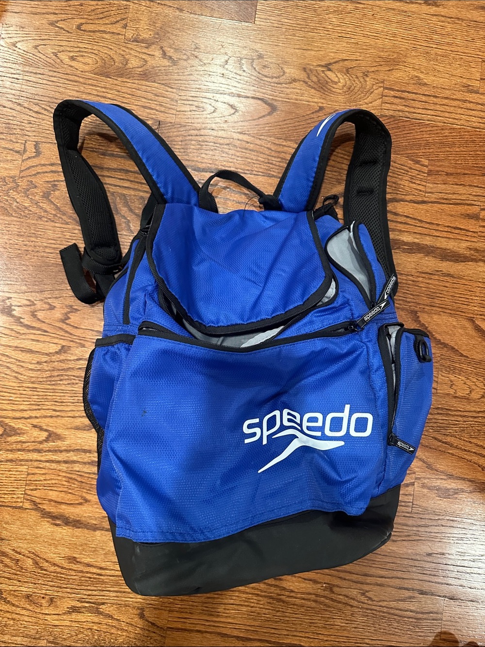 Speedo Royal Blue and Black Men's Athletic Backpack